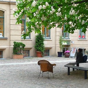 Berlin courtyard tree location