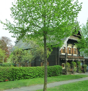 Wood house country village near Berlin